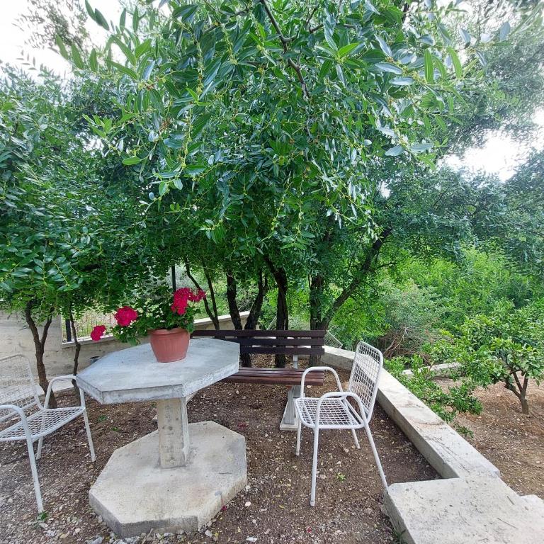 Apartments Ivana - Apartment with Garden View - 24