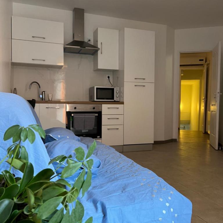 T2 climatisé st victor Vieux Port et Plage des catalans 13007 - Appartement 1 Chambre - 1
