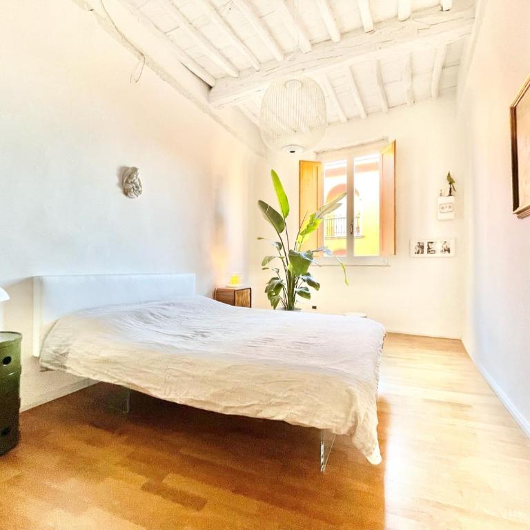 La Casa Del Pesce - Within the Historical Walls of Lucca - Appartamento - 29