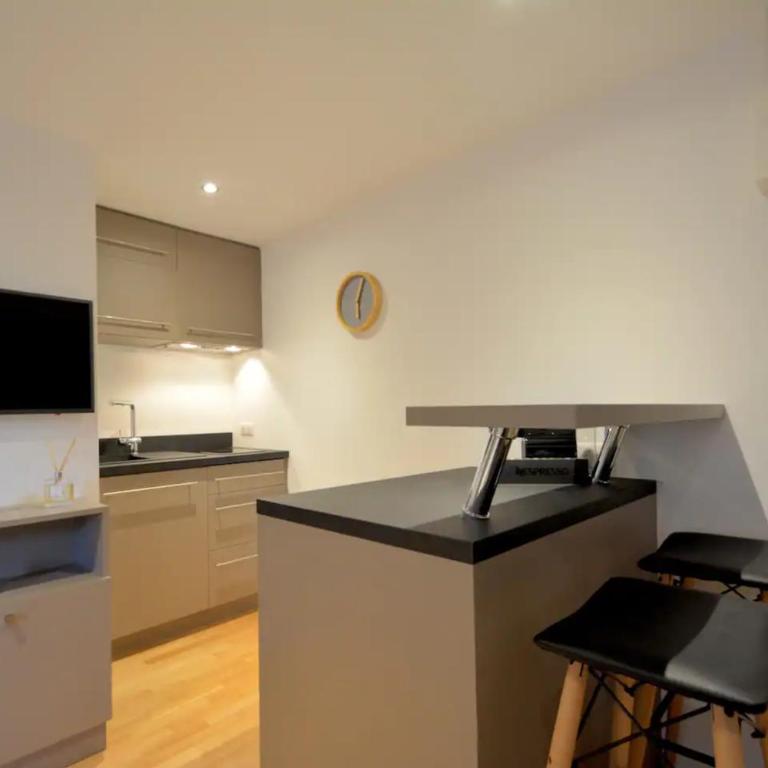 Studio Paquier Annecy hyper centre Old Town - Apartment - 3
