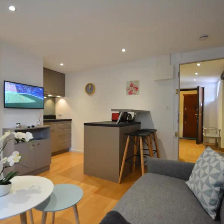 Studio Paquier Annecy hyper centre Old Town - Apartment - 1