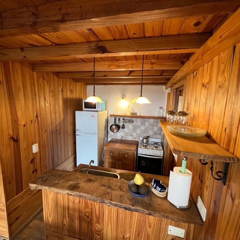Tromen - Chalet de 1 dormitorio - 5