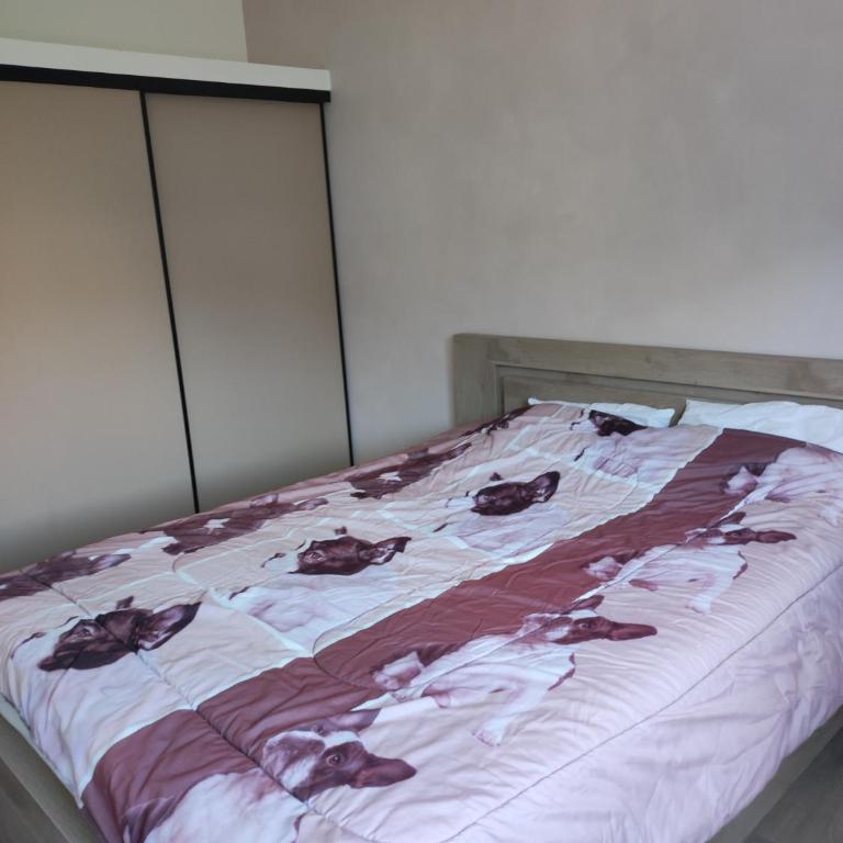 Appartement Mont Guillaume - Appartement 2 Chambres - 5