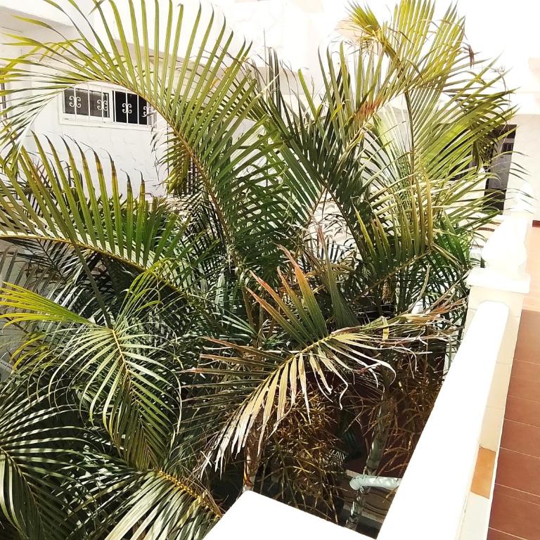 Oasis Marina Apartament - Casa con 1 dormitorio - 26
