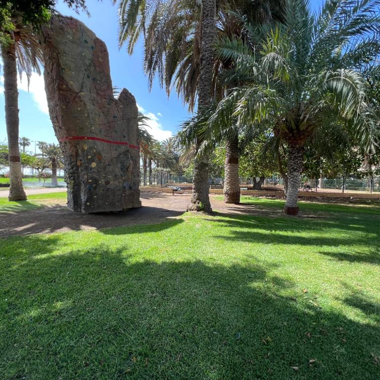 Apartamento Parque Jardín - Three-Bedroom House - 72