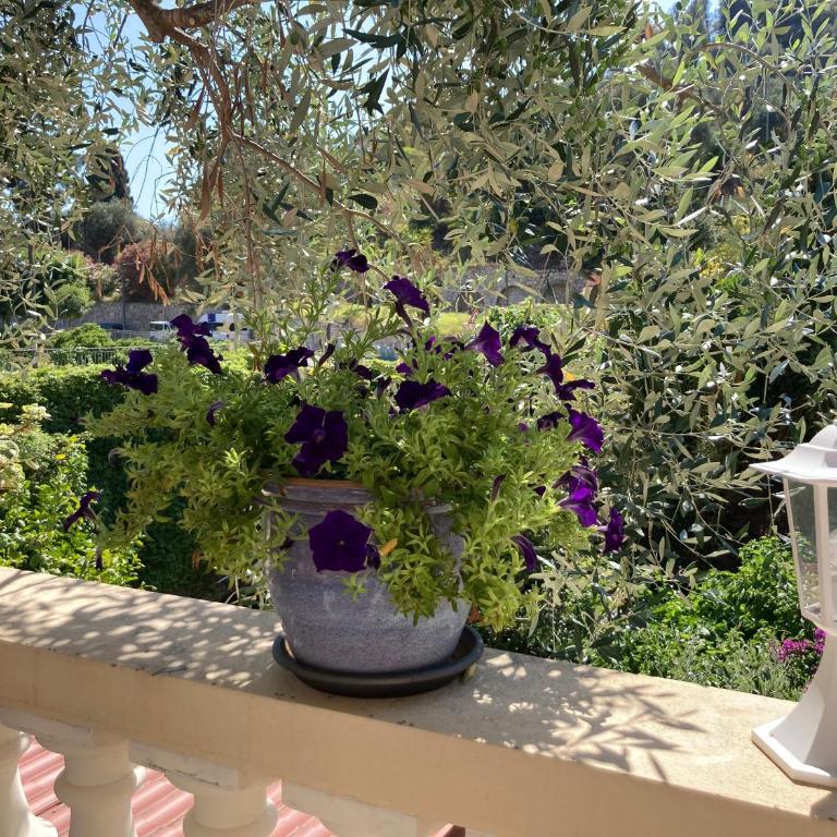 Studio Villa la Cigale avec grande Terrasse - Studio - 27