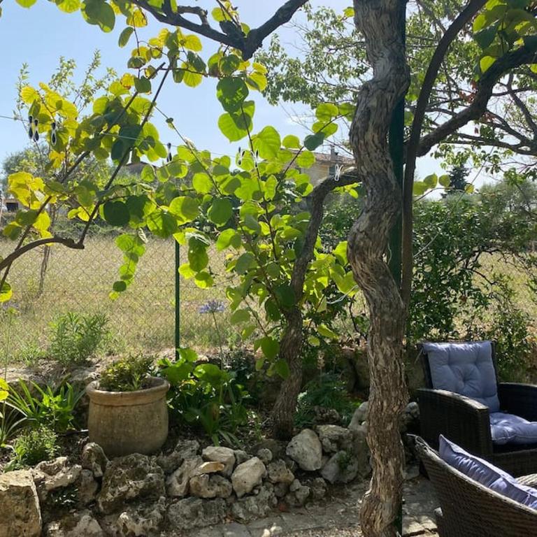La Bastide de Jean Maison de charme dans un domaine equestre privé - Maison 2 Chambres - 34