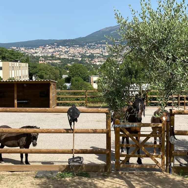 La Bastide de Jean Maison de charme dans un domaine equestre privé - Maison 2 Chambres - 44