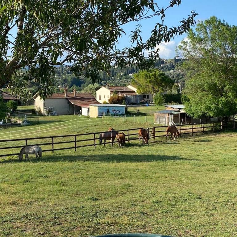 La Bastide de Jean Maison de charme dans un domaine equestre privé - Maison 2 Chambres - 47