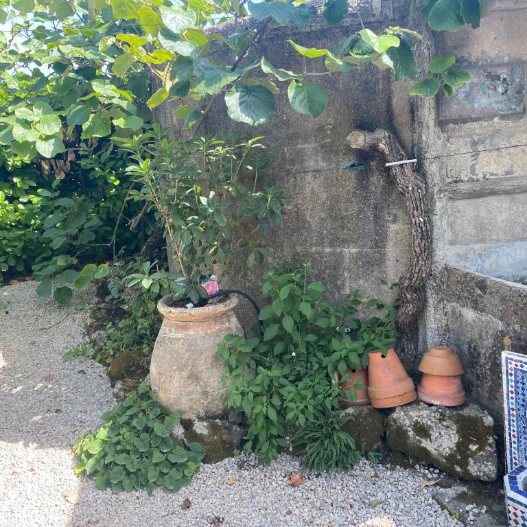La Bastide de Jean Maison de charme dans un domaine equestre privé - Maison 2 Chambres - 51