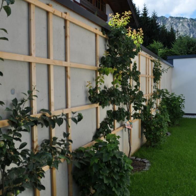 Haus am Walde - Appartamento con 2 Camere da Letto e con Doccia - 4