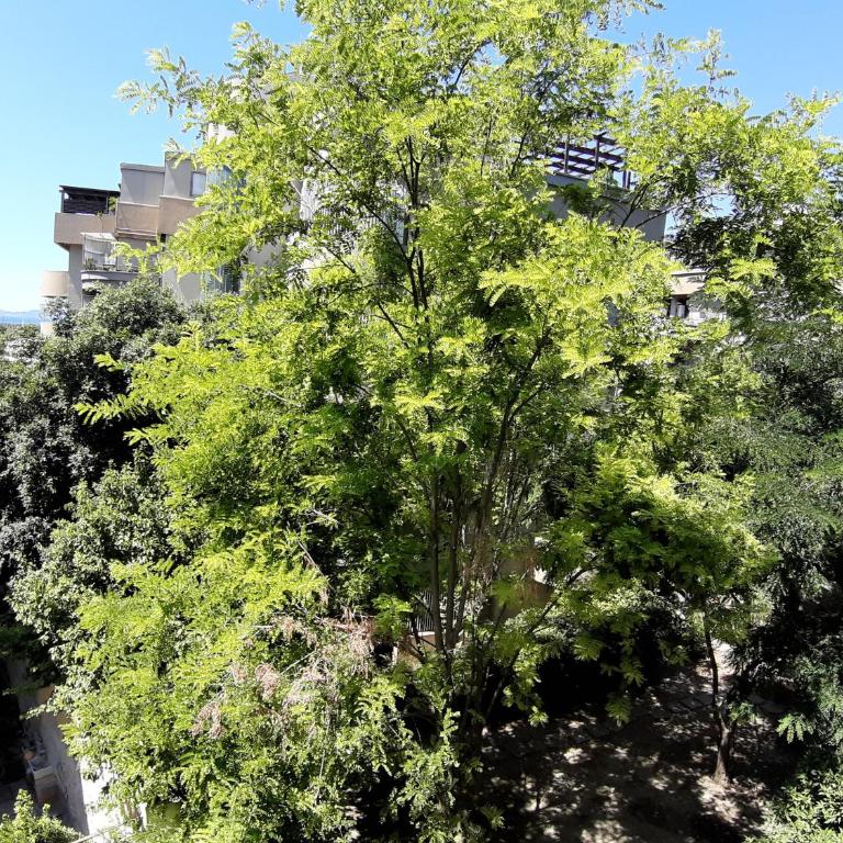 Bonaria Apartment - Appartamento con 2 Camere da Letto - 17