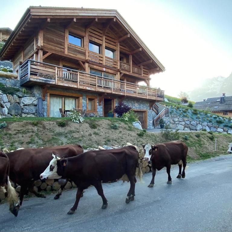 CHALET LYOBA - Appartement 1 Chambre - 39