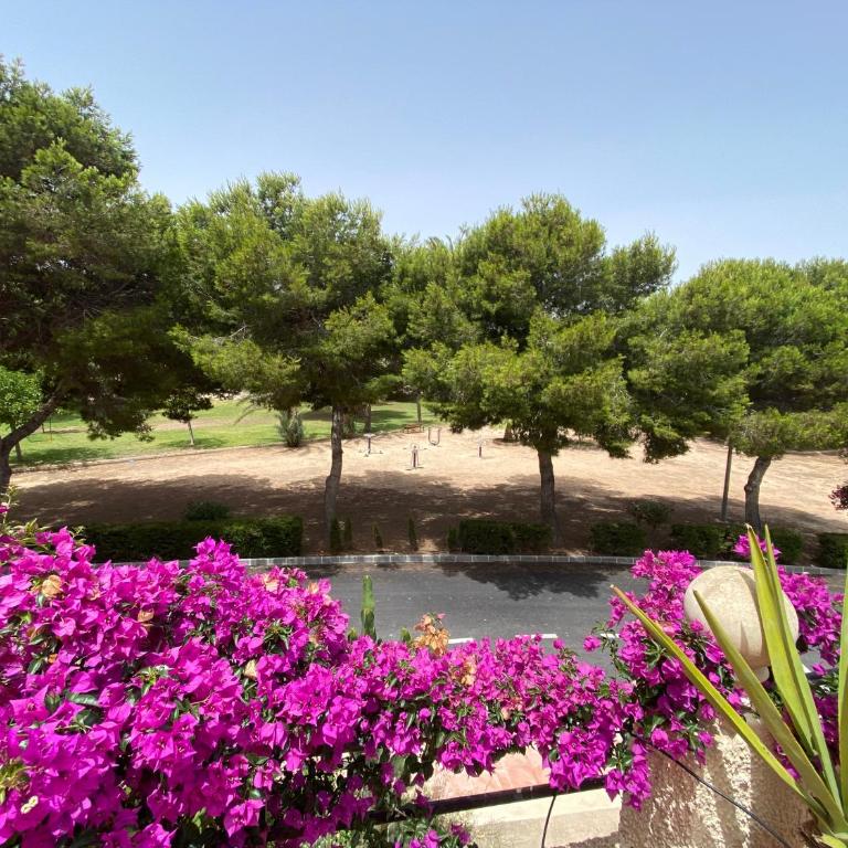 Orihuela Costa 3 bdr condo on La Zenia beach with patio - Apartamento de 3 dormitorios - 8
