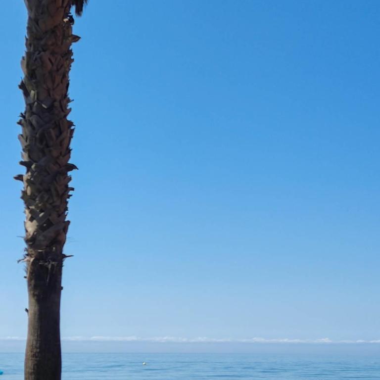 Malaga stylish beach apartments - Apartamento - Planta baja - 7