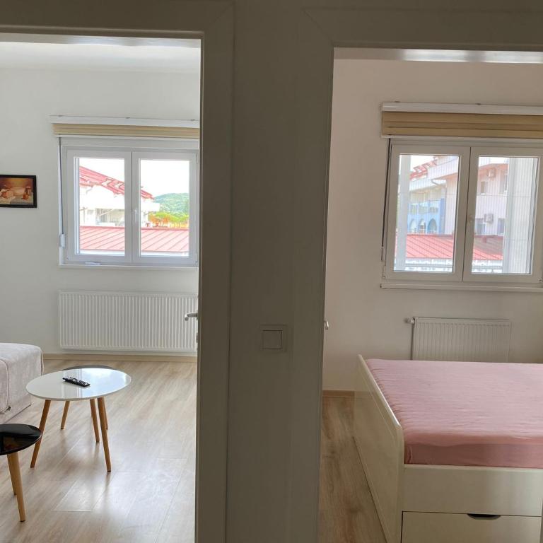 Apartman Cadiz Banja Koviljača - Apartman sa 1 Spavaćom Sobom - 12