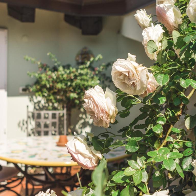 Palazzo Salem M1 Roof Garden - Appartamento con 1 Camera da Letto - 30