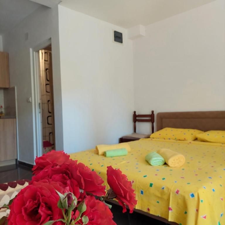 Apartments Ivana - Apartment with Garden View - 7