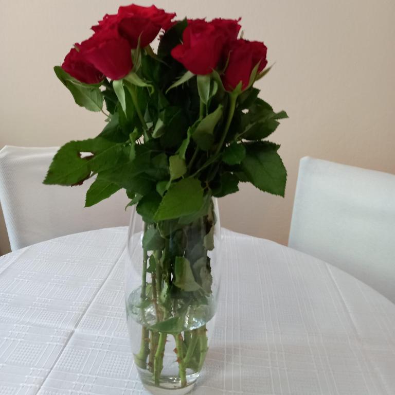 Rivijera - Apartman sa 1 Spavaćom Sobom - 40