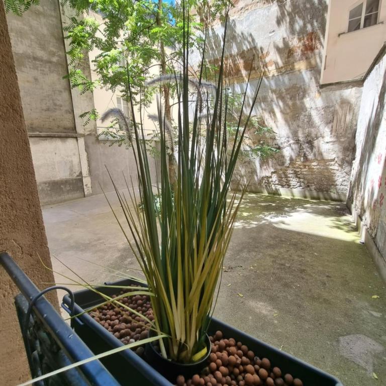 Cosy studio in heart of Montmartre - Appartement 1 Chambre - 3