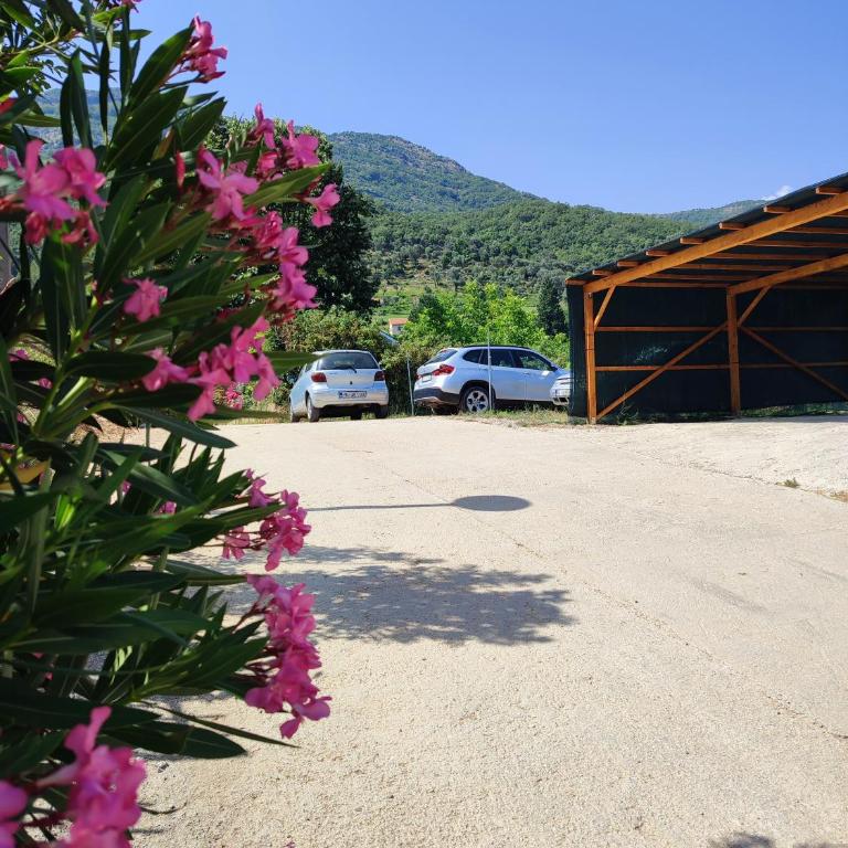 Stanislava Seaview Residence - One-Bedroom Apartment - 23