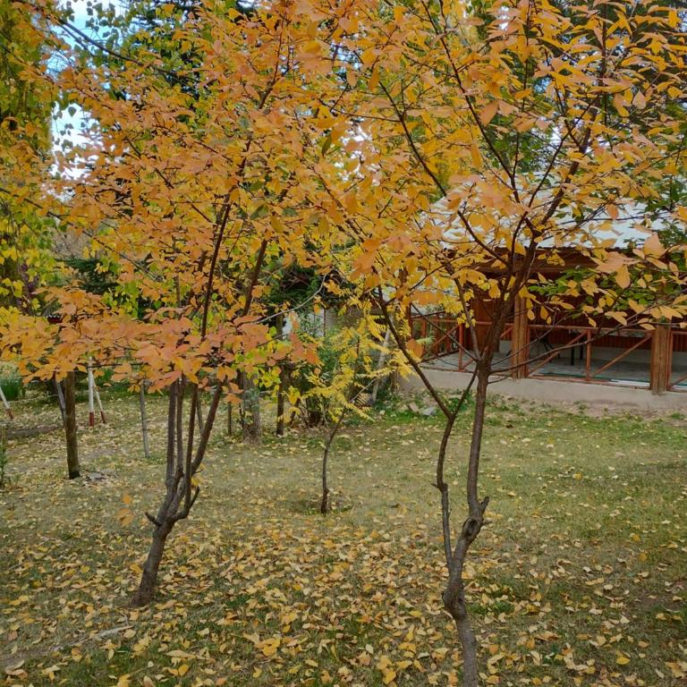 Cabañas Las Mulas "confort en la montaña" - Two-Bedroom Chalet - 18