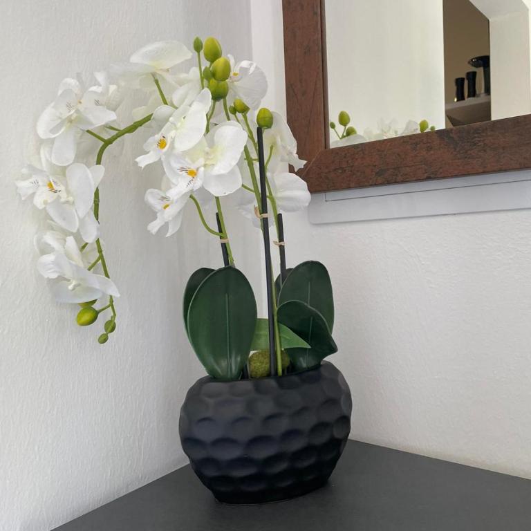 Sorinas Home - Comfortable Apartment near Graz - Free Parking - Apartment mit 2 Schlafzimmern - 5