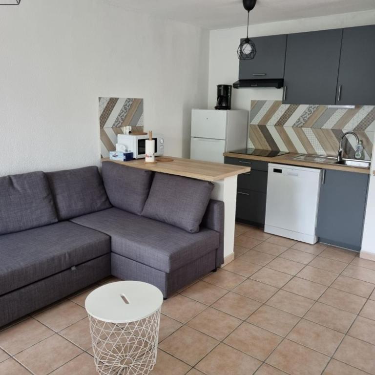 Appartement T2 avec piscine à Biscarrosse Bourg, proche plages du lac et océan, 4 pers, centre-ville - FR-1-319-454 - Apartamento (4 adultos) - 4