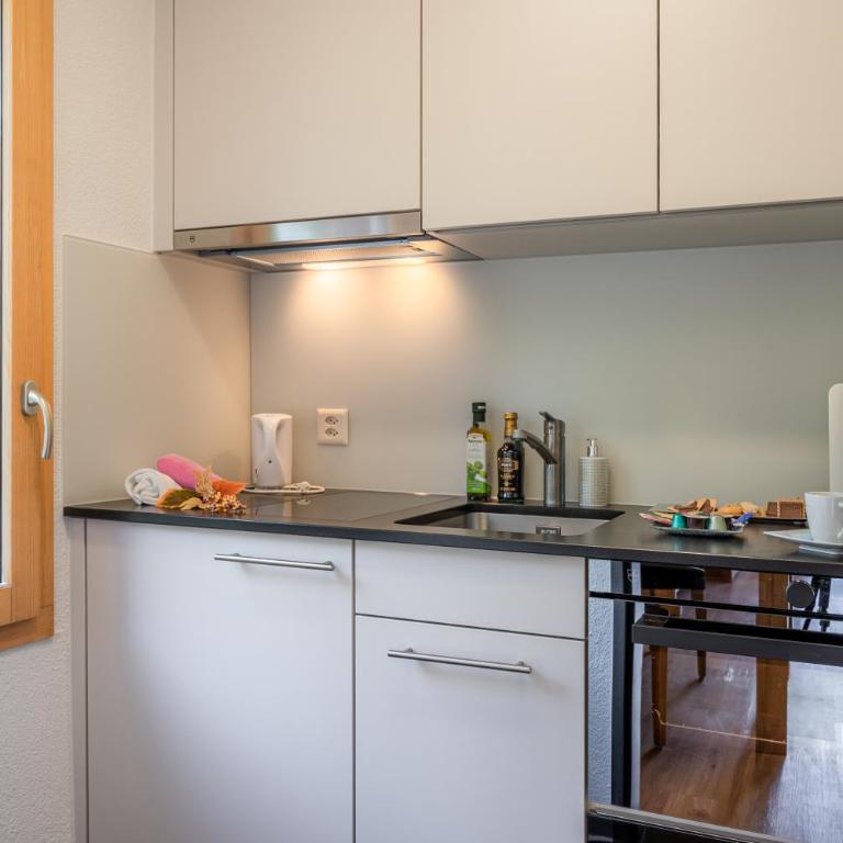Jolimont Apartments - Estudio con vistas al Matterhorn - 4