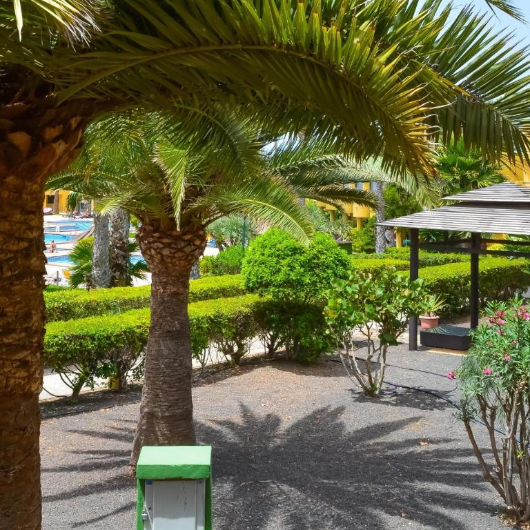 Casa Bella by Best Holidays Fuerteventura - One-Bedroom Apartment - 4