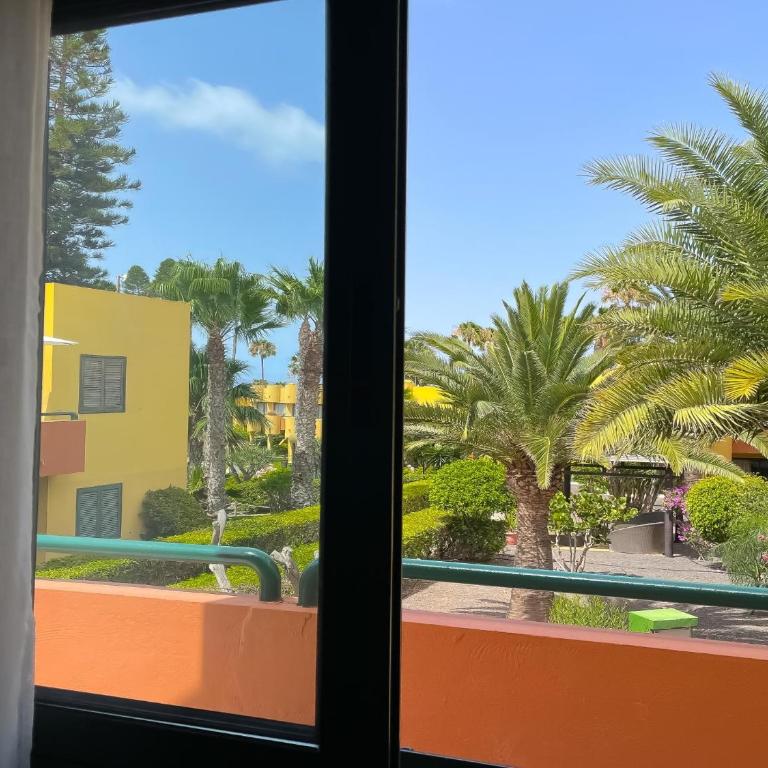 Casa Bella by Best Holidays Fuerteventura - One-Bedroom Apartment - 28