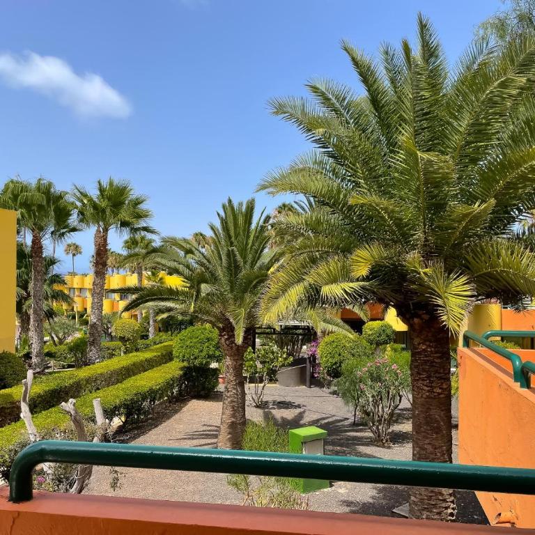 Casa Bella by Best Holidays Fuerteventura - One-Bedroom Apartment - 30