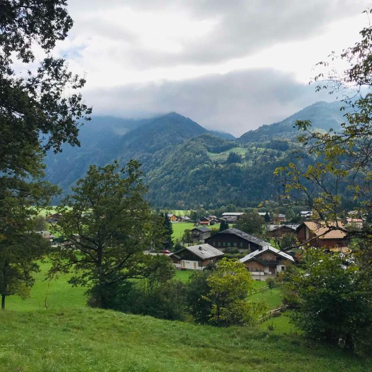 Chalet familial calme proche centre, 8 pers, WiFi, garage - FR-1-629-103 - Chalet - 2