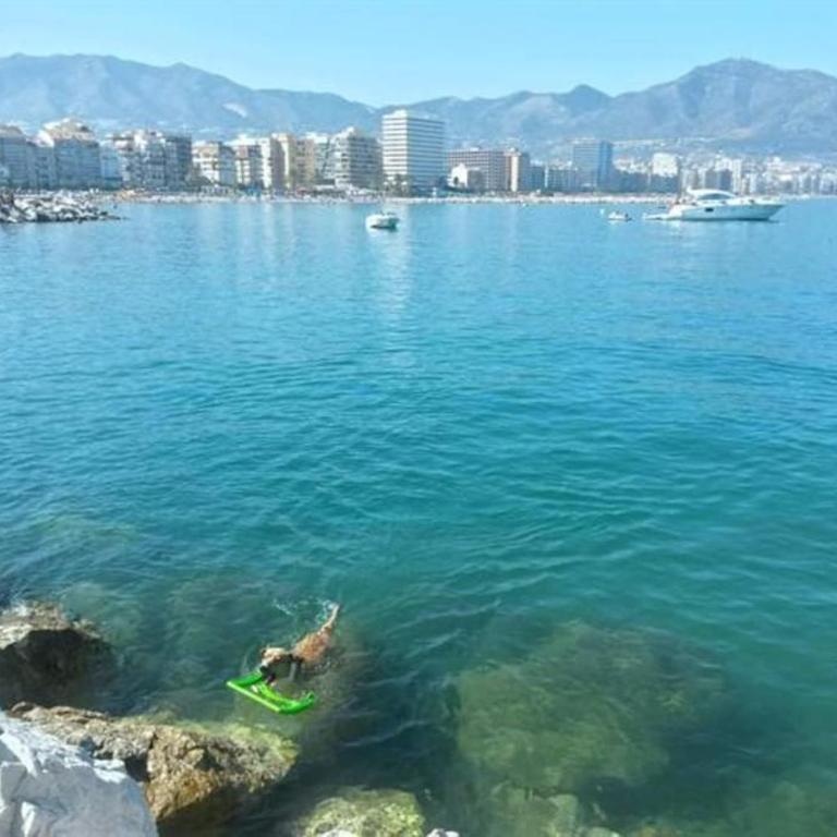 HigueronRentals El Dado - Apartamento de 3 dormitorios - 55