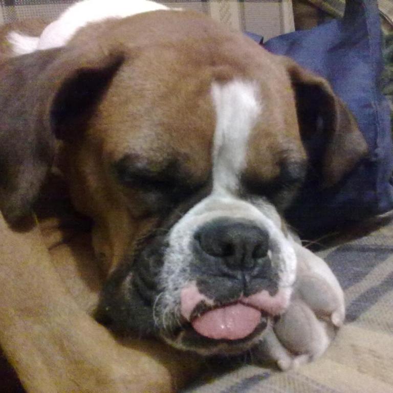 Letras Especiales - Habitación Doble Económica - 6