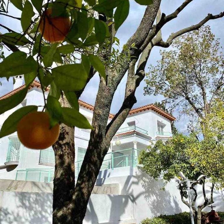 Los Almendros - Free Parking - Standard Apartment - 9