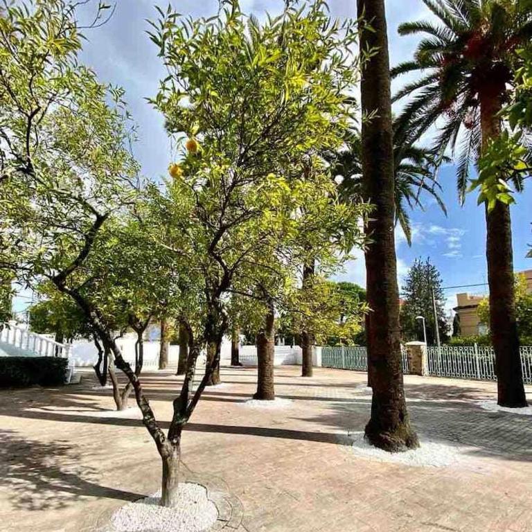 Los Almendros - Free Parking - Standard Apartment - 10