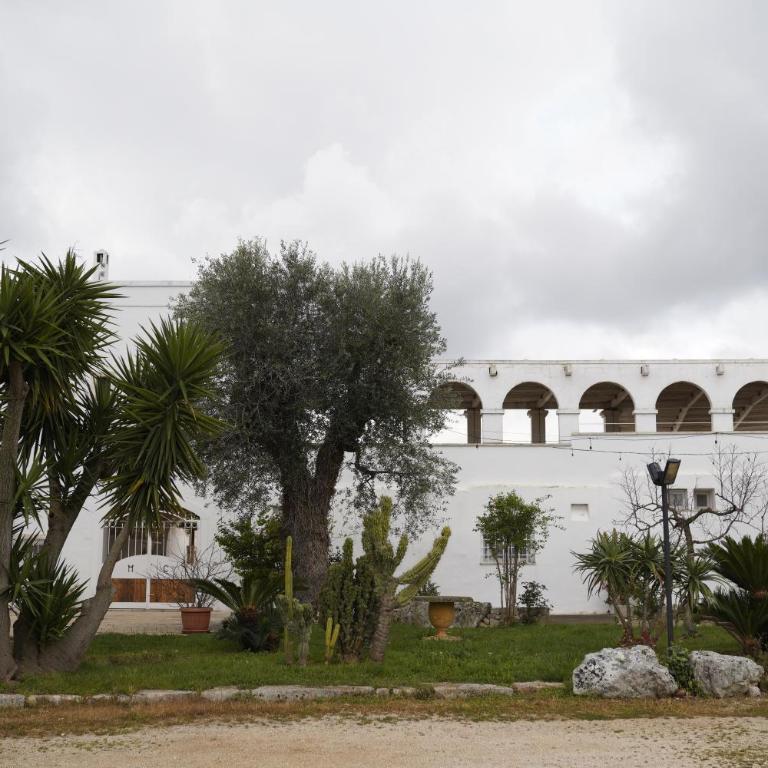 Masseria Casamassima agriturismo - Appartamento - Piano Terra - 3
