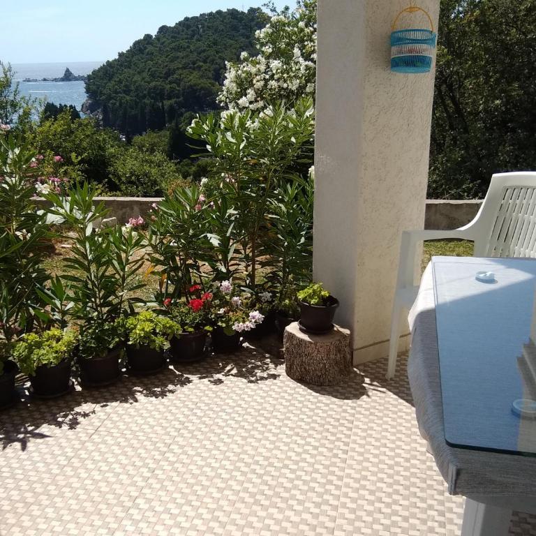LUČICE - 2026 - PETROVAC, Prijevorac, BB - Apartment - OXANA - Stan 1 - Two-Bedroom Apartment - 11