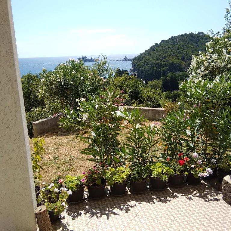 LUČICE - 2026 - PETROVAC, Prijevorac, BB - Apartment - OXANA - Stan 1 - Two-Bedroom Apartment - 10
