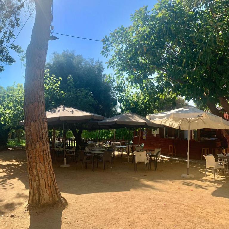 GLP Cabo Beach - Two-Bedroom Apartment - 13