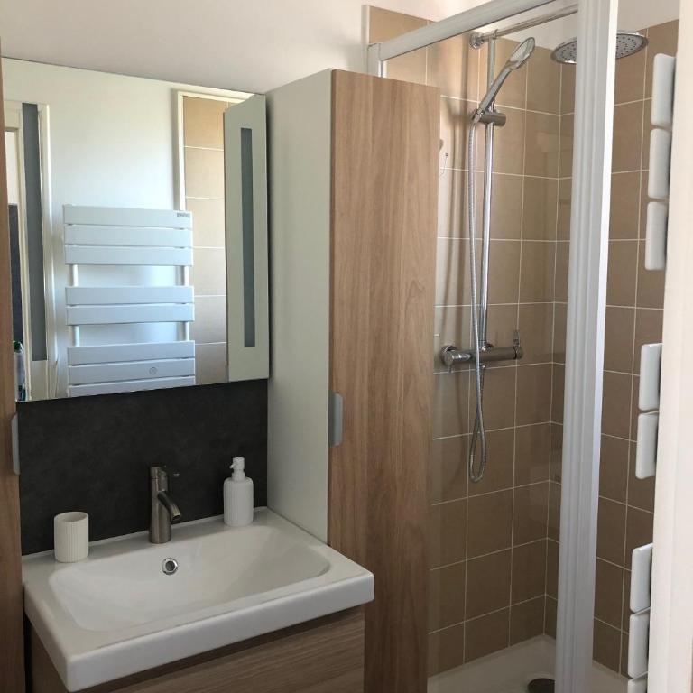 DEMOISELLES - Appartement 1 chambre - Apartment mit 1 Schlafzimmer - 3