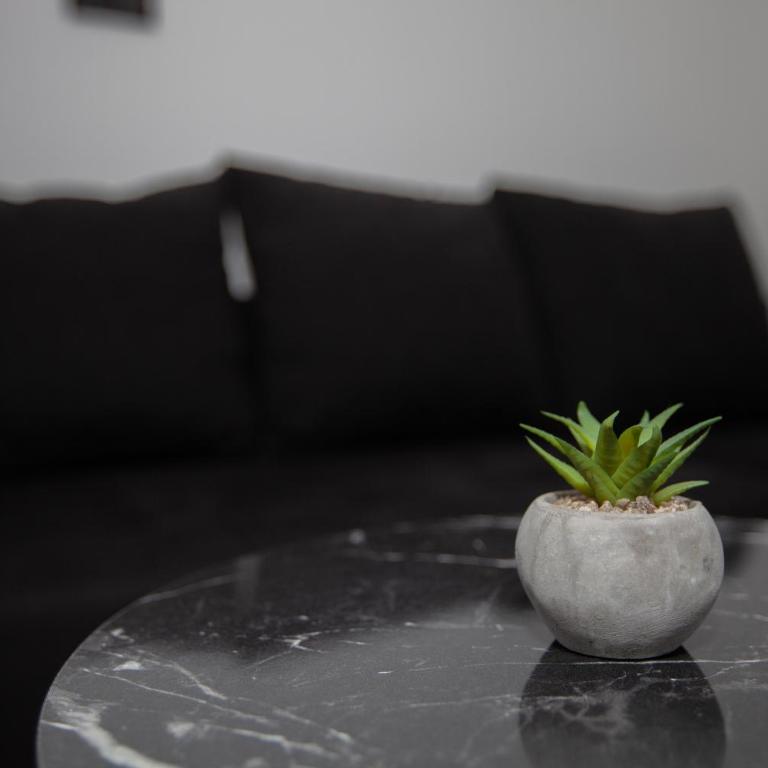 Apartmani JaMi - Apartman sa 1 Spavaćom Sobom - 7