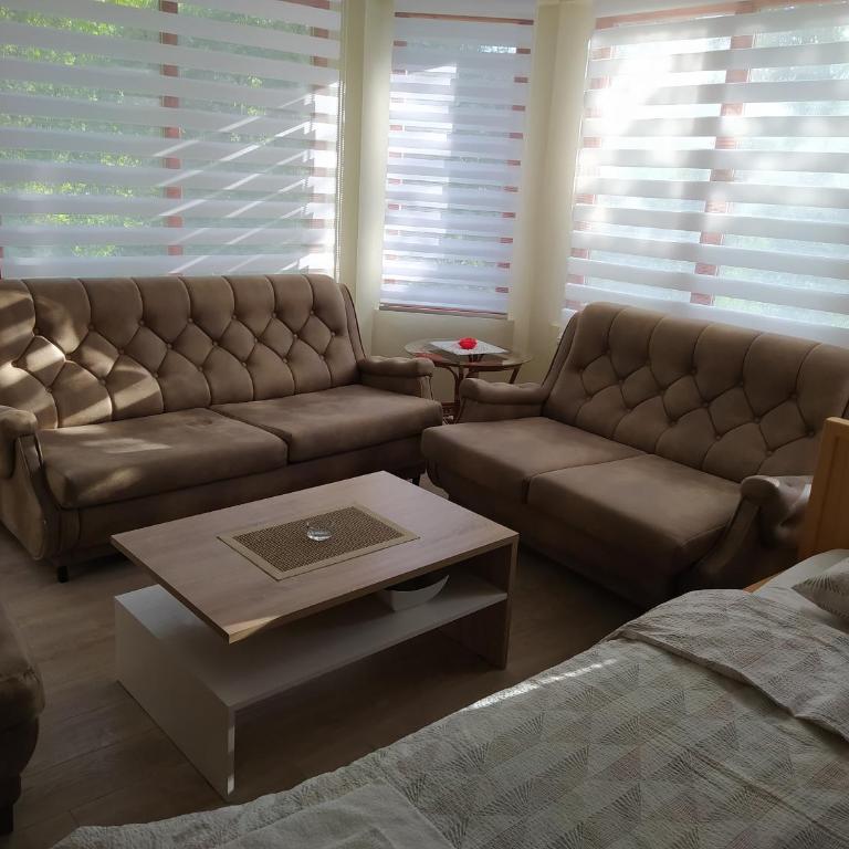 Apartmani Zora-Vuković - Deluks Soba s Bračnim Krevetom i Pomoćnim Ležajem - 4