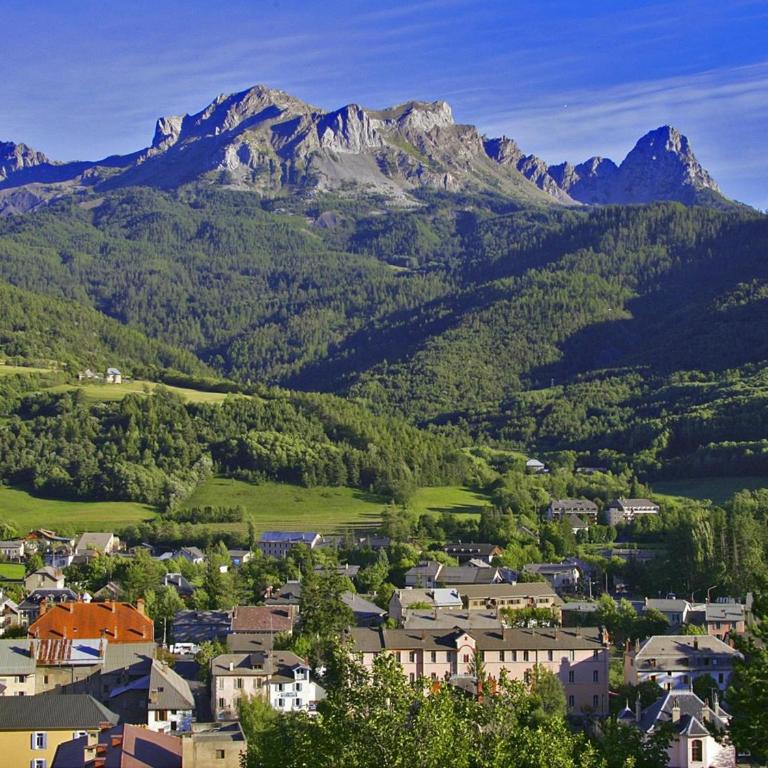 Charmant Mini T2 Sud à Barcelonnette avec Terrasse, 4 Pers - One-Bedroom Apartment - 4