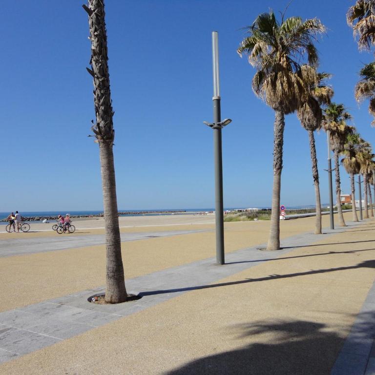 Studio avec Terrasse et Vue Marina à Sète - FR-1-472-149 - Studio - 8