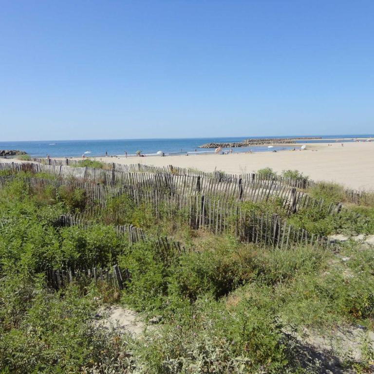 Studio avec Terrasse et Vue Marina à Sète - FR-1-472-149 - Studio - 9