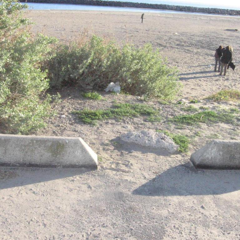 Charmant studio cabine à Sète avec parking, accès plage, pour 4 personnes - FR-1-472-152 - Studio - 9