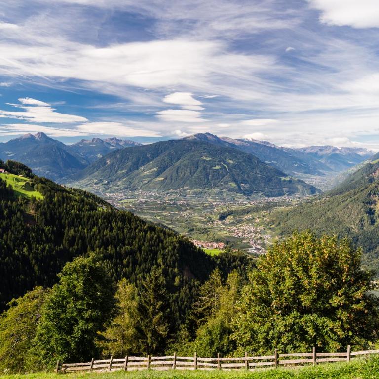 Ferienwohnung Boarbichlhof - Appartamento con 2 Camere da Letto e con Vista Montagna - 1
