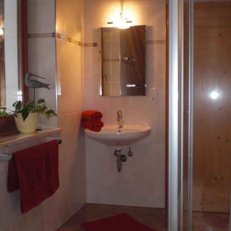 Ferienwohnung Boarbichlhof - Appartamento con 2 Camere da Letto e con Vista Montagna - 12
